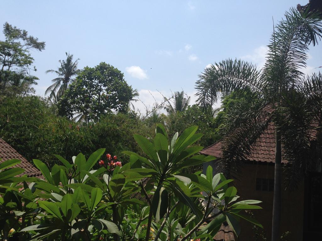 Ubud Rooms B&B Szoba fotó