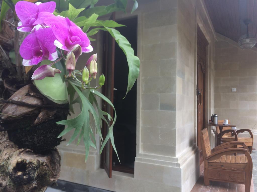 Ubud Rooms B&B Kültér fotó