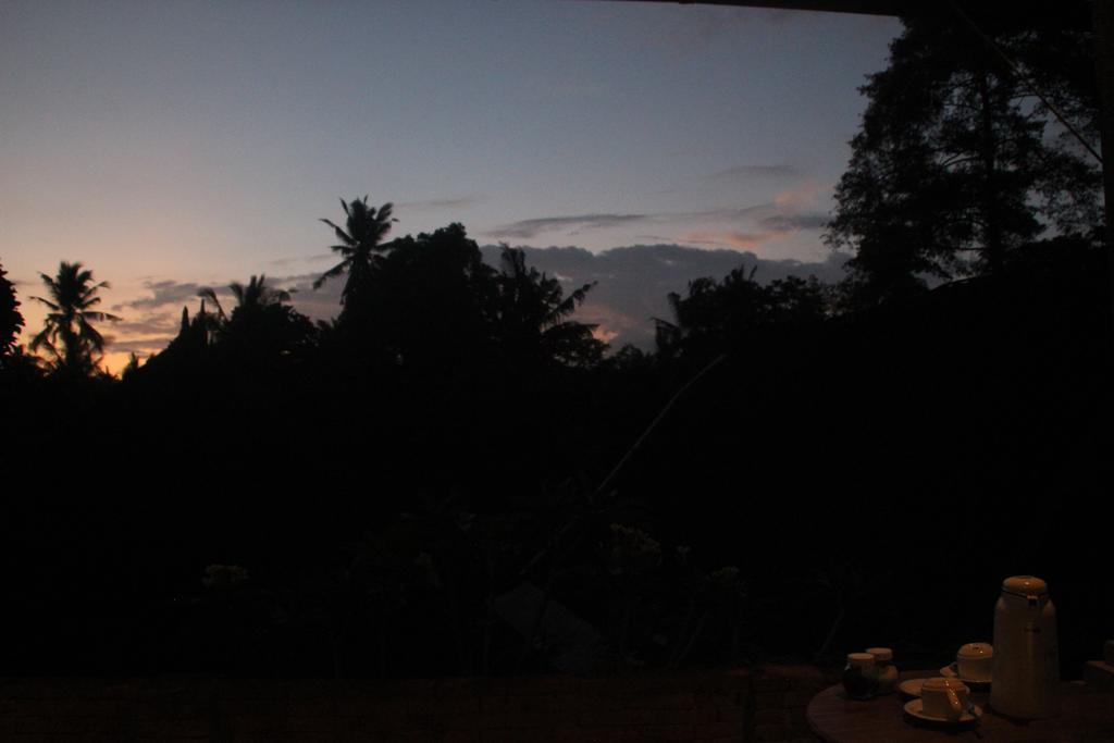 Ubud Rooms B&B Kültér fotó