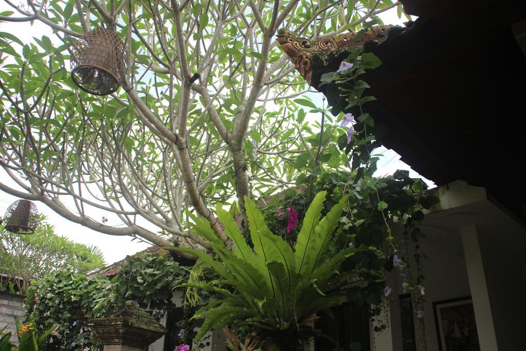 Ubud Rooms B&B Kültér fotó